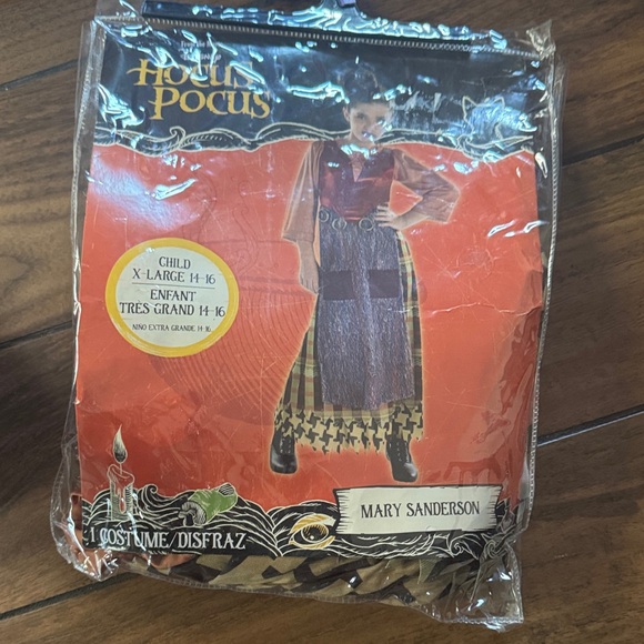 Hocus Pocus Mary Sanderson Kids Halloween Costume -size XL 14-16 - Picture 1 of 6